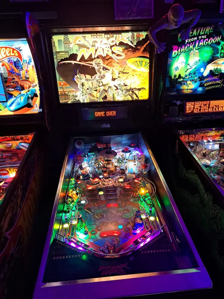 Flipper 12