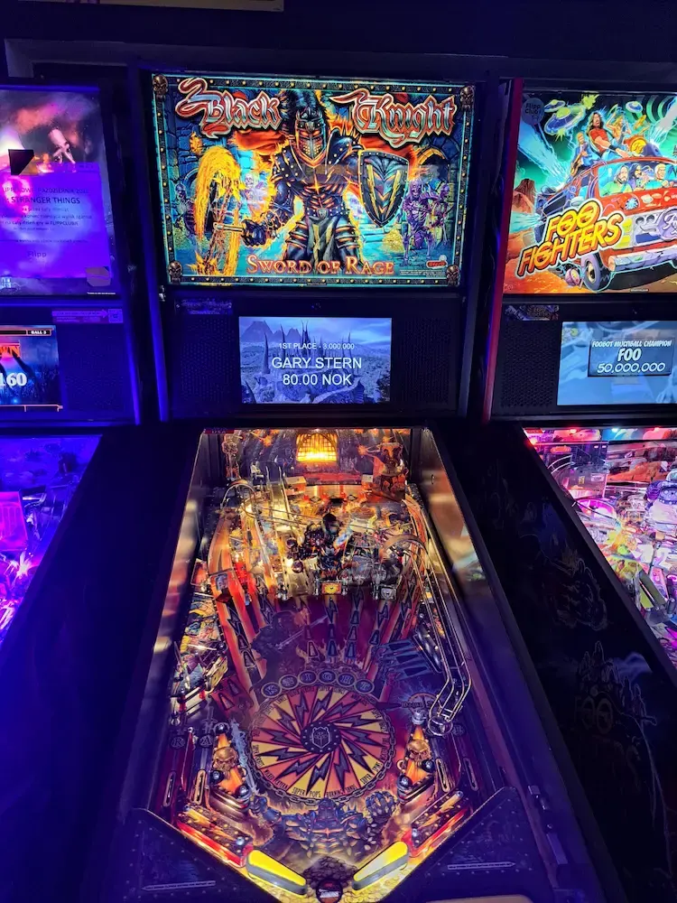 Flipper 17