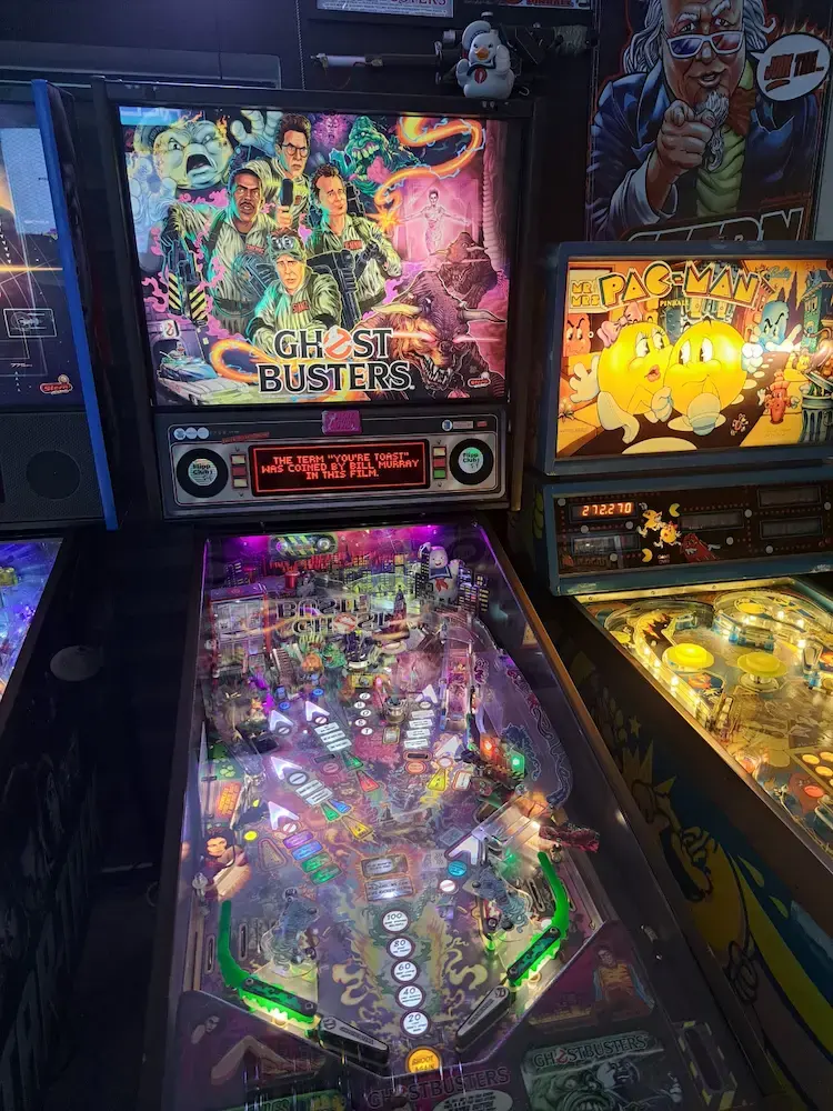 Flipper 19